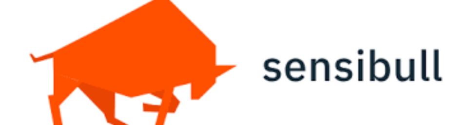 stock-market-training-in-hyderabad-Sensibull-Tool